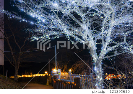 冬のイルミネーションShibata Fantasy Illumination2024　宮城県柴田町 121295630