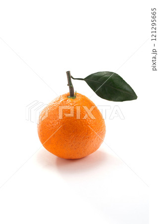 美味しそうなみかん 美味しそうなみかん 121295665