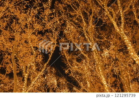 2024 SENDAI光のページェントのイルミネーション　宮城県仙台市 121295739