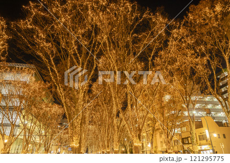 2024 SENDAI光のページェントのイルミネーション 宮城県仙台市 2024 SENDAI光のページェントのイルミネーション 宮城県仙台市 121295775