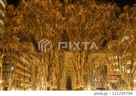 2024 SENDAI光のページェントのイルミネーション　宮城県仙台市 121295794