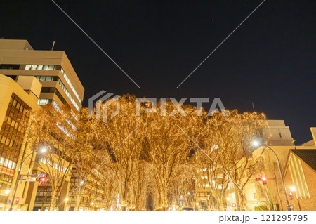 2024 SENDAI光のページェントのイルミネーション 宮城県仙台市 2024 SENDAI光のページェントのイルミネーション 宮城県仙台市 121295795