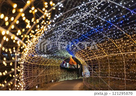 冬のイルミネーションShibata Fantasy Illumination2024　宮城県柴田町 121295870