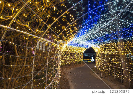 冬のイルミネーションShibata Fantasy Illumination2024 宮城県柴田町 冬のイルミネーションShibata Fantasy Illumination2024 宮城県柴田町 121295873