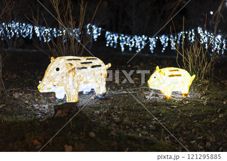 冬のイルミネーションShibata Fantasy Illumination2024 宮城県柴田町 冬のイルミネーションShibata Fantasy Illumination2024 宮城県柴田町 121295885