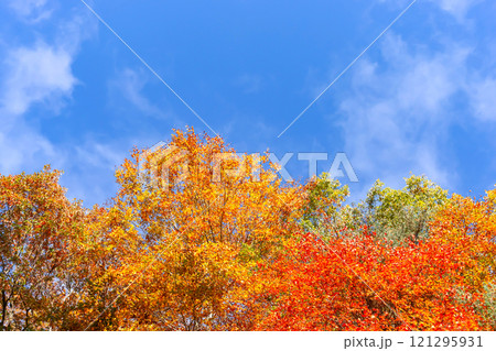 241108丹生川z044 121295931