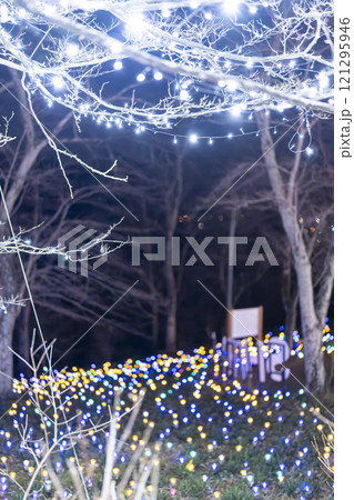 冬のイルミネーションShibata Fantasy Illumination2024 宮城県柴田町 冬のイルミネーションShibata Fantasy Illumination2024 宮城県柴田町 121295946