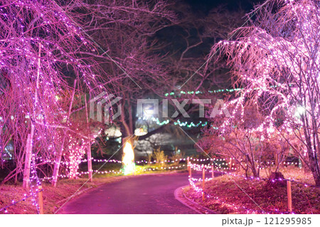 冬のイルミネーションShibata Fantasy Illumination2024 宮城県柴田町 冬のイルミネーションShibata Fantasy Illumination2024 宮城県柴田町 121295985