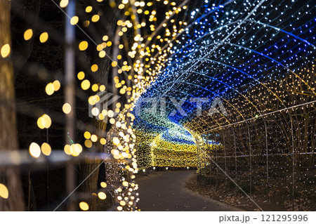 冬のイルミネーションShibata Fantasy Illumination2024 宮城県柴田町 冬のイルミネーションShibata Fantasy Illumination2024 宮城県柴田町 121295996