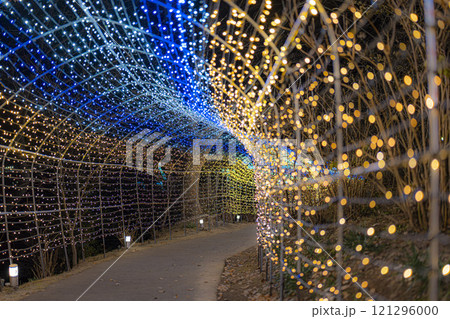 冬のイルミネーションShibata Fantasy Illumination2024　宮城県柴田町 121296000