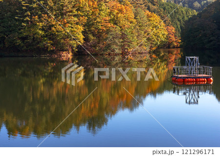 241108ダム湖z010 121296171