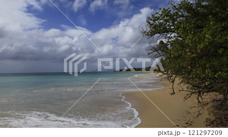 landscape of Martinique island, french west indies landscape of Martinique island, french west indies 121297209