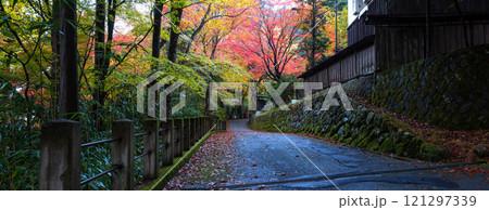 241111日枝神社Z006~011-S 241111日枝神社Z006~011-S 121297339