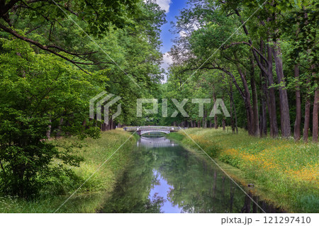 Canal in Alexander Park, Pushkin, Russia 121297410