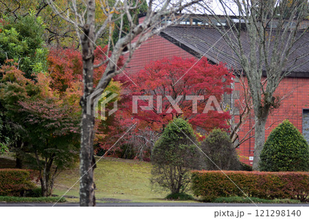 いいちこ日田蒸留所の紅葉 いいちこ日田蒸留所の紅葉 121298140