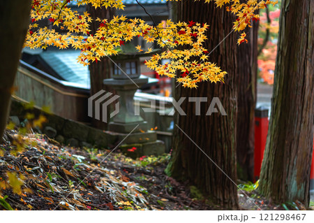 241112日枝神社m040 121298467