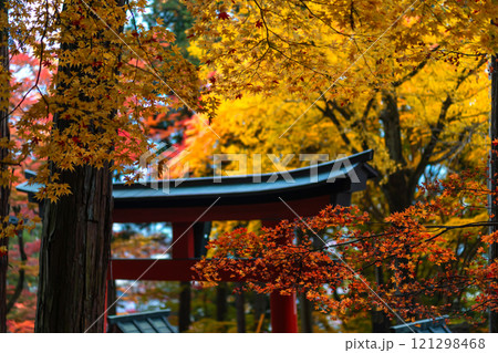 241112日枝神社m043 241112日枝神社m043 121298468