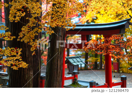 241112日枝神社m048 121298470