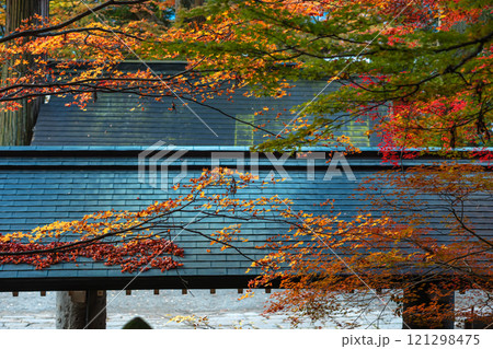 241112日枝神社m110 121298475