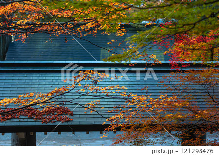 241112日枝神社m112 241112日枝神社m112 121298476