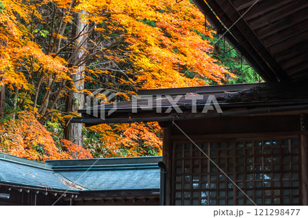 241112日枝神社m122 121298477