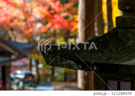 241112日枝神社m127 121298479