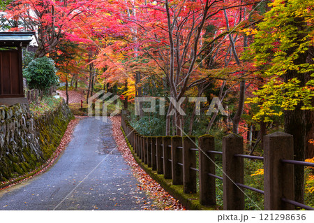 241113日枝神社z002 241113日枝神社z002 121298636