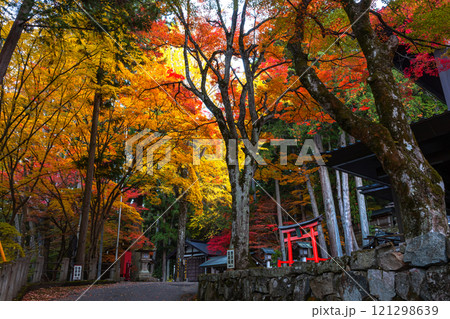 241113日枝神社z010 121298639