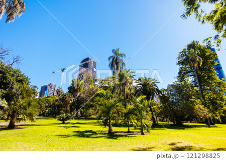 City Botanic Gardens in Brisbane Australia 121298825