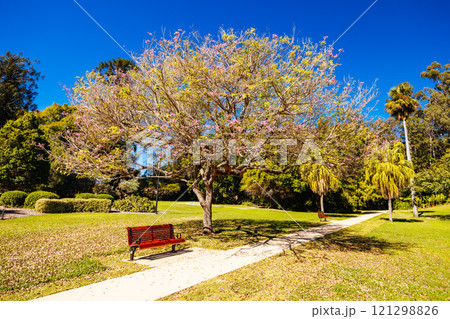 City Botanic Gardens in Brisbane Australia City Botanic Gardens in Brisbane Australia 121298826
