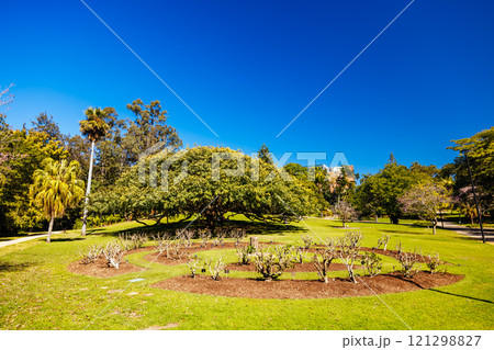 City Botanic Gardens in Brisbane Australia 121298827