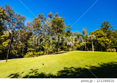 City Botanic Gardens in Brisbane Australia City Botanic Gardens in Brisbane Australia 121298828