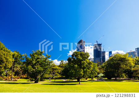 City Botanic Gardens in Brisbane Australia 121298831