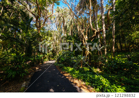 City Botanic Gardens in Brisbane Australia 121298832