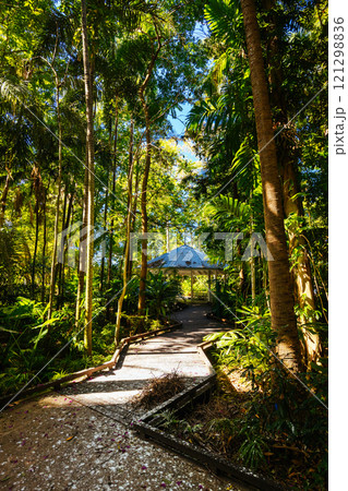 City Botanic Gardens in Brisbane Australia 121298836