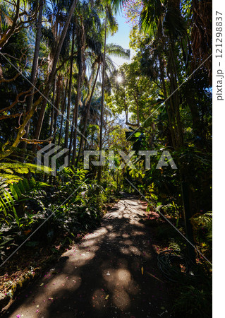 City Botanic Gardens in Brisbane Australia 121298837