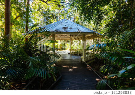 City Botanic Gardens in Brisbane Australia City Botanic Gardens in Brisbane Australia 121298838