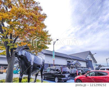 道の駅 いいで めざみの里観光物産館 【山形県】 道の駅 いいで めざみの里観光物産館 【山形県】 121299232