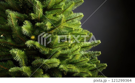 《AI画像》緑のクリスマスツリー 121299364