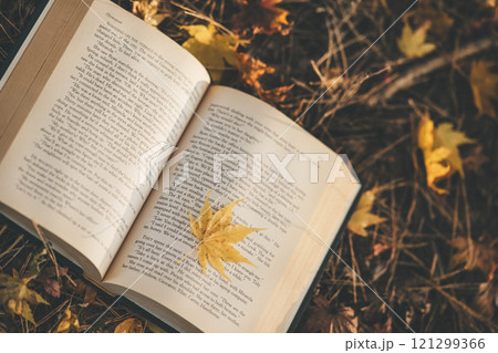 読書の秋　本と紅葉 121299366