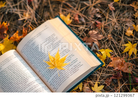 読書の秋 本と紅葉 読書の秋 本と紅葉 121299367