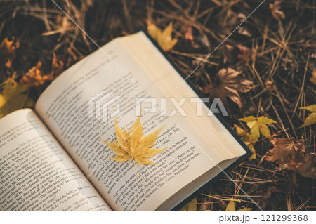読書の秋　本と紅葉 121299368
