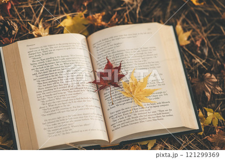 読書の秋　本と紅葉 121299369
