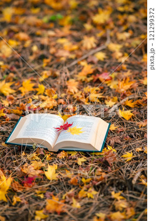 読書の秋　本と紅葉 121299372