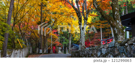 241113日枝神社z053～058-S 121299863