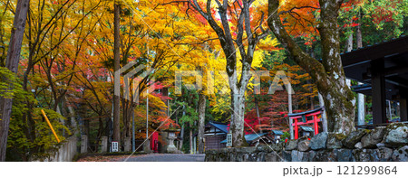 241113日枝神社z060～067-S 121299864