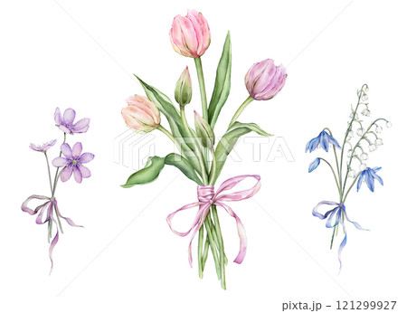 Set of bouquet of Pastel light colors Tulips and open bud and bow. Bouquets of white lilies of the valley and purple coppice. Hand drawn watercolor illustration isolated flowers for spring design card 121299927