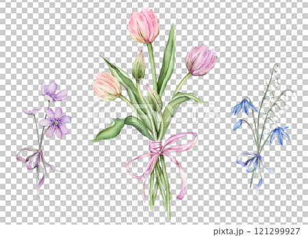 Set of bouquet of Pastel light colors Tulips and open bud and bow. Bouquets of white lilies of the valley and purple coppice. Hand drawn watercolor illustration isolated flowers for spring design card 121299927