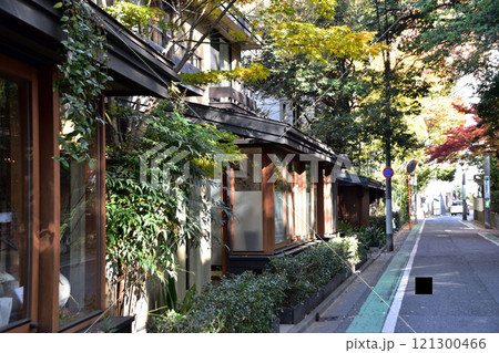 世田谷・羽根木の森の紅葉 121300466