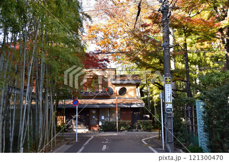 世田谷・羽根木の森の紅葉 121300470